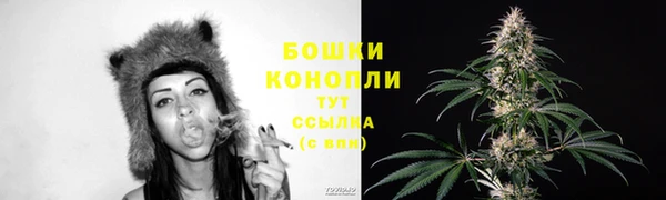 ешки Михайлов