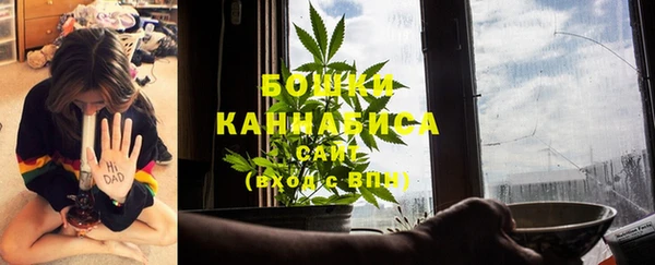 ешки Михайлов