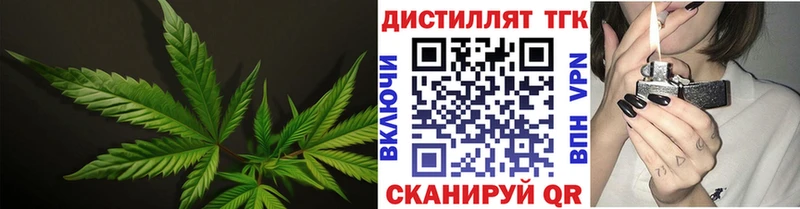 ТГК Wax  Вышний Волочёк 