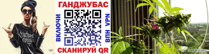 купить   Вышний Волочёк  Бошки марихуана план 
